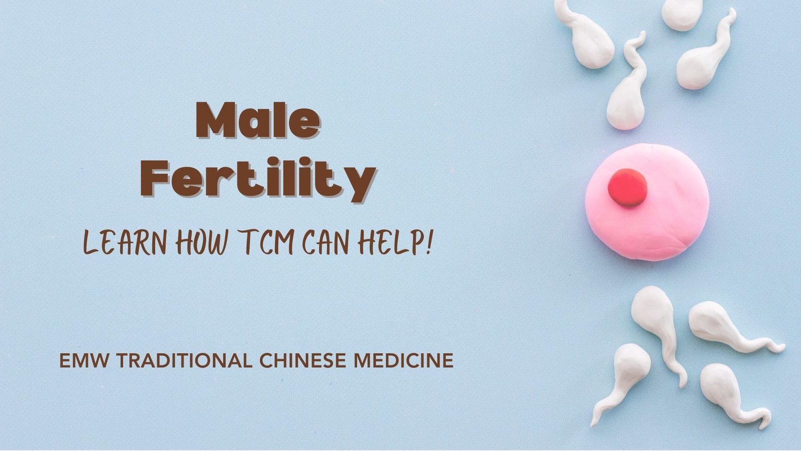 Tcm Male Fertility Emw Tcm