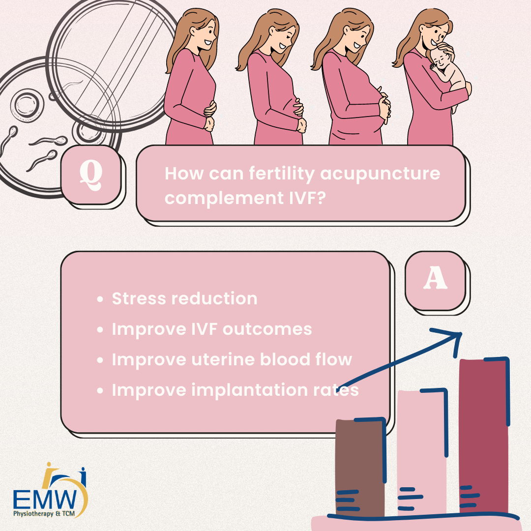 Acupuncture For Fertility In Singapore - EMW Physiotherapy & TCM