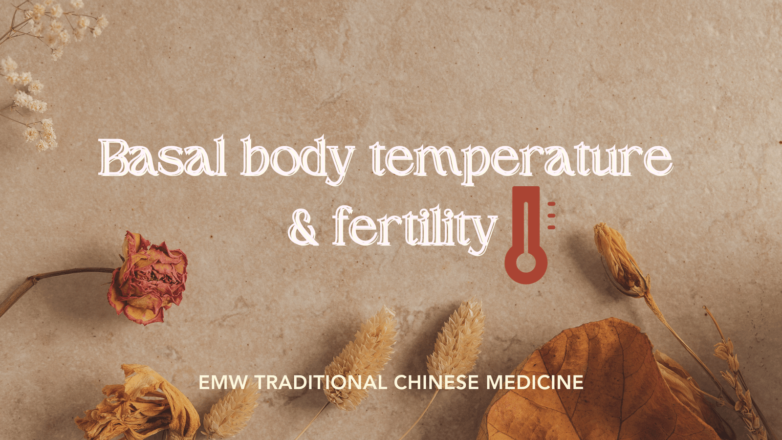Basal Body Temperature & Fertility