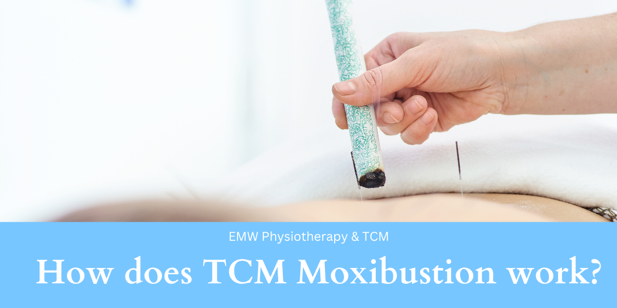 Moxibustion Benefits Traditional Vs Modern Emw Tcm