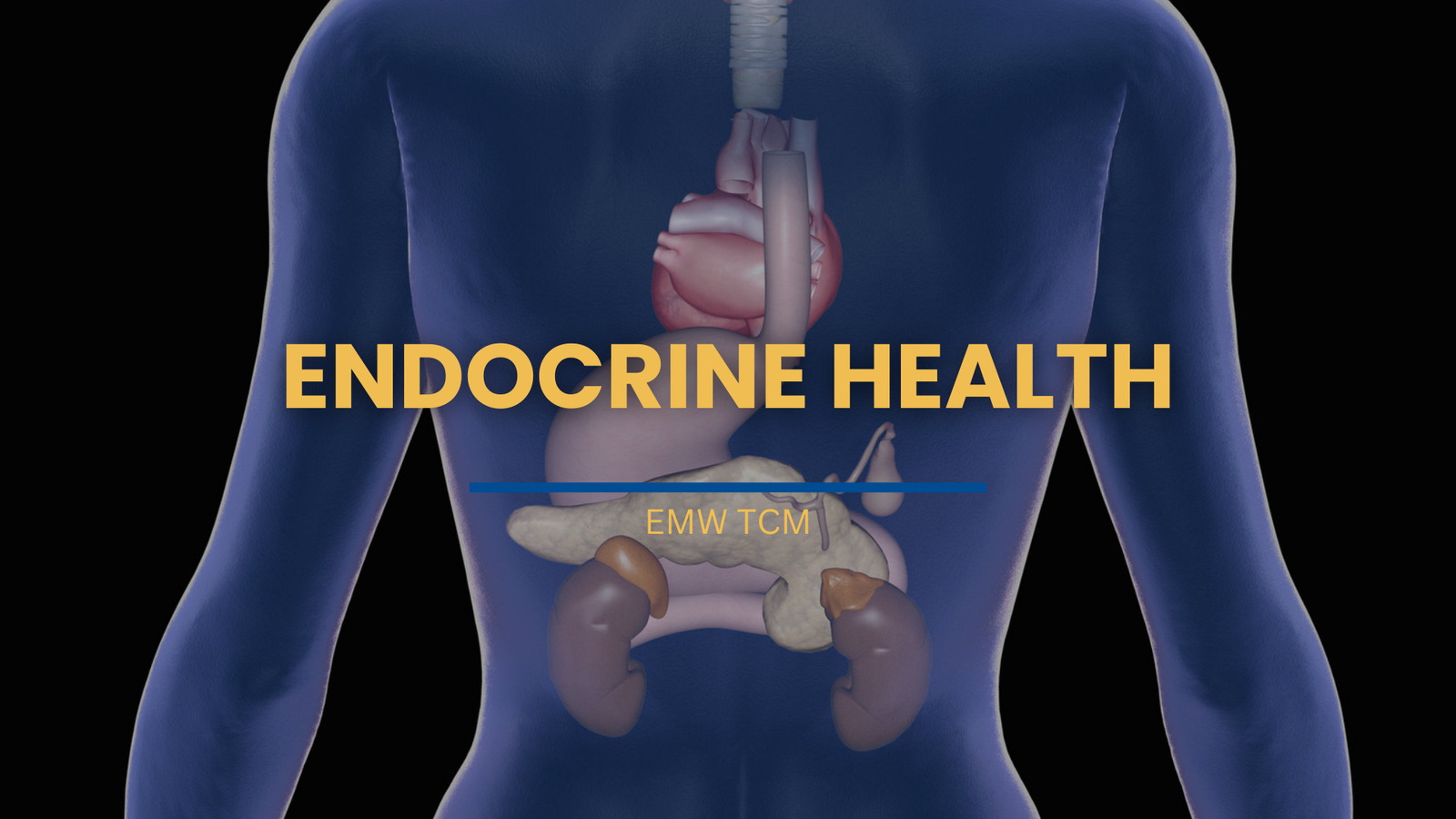 TCM Endocrine Health