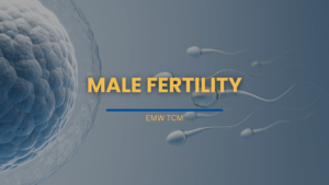 male fertility