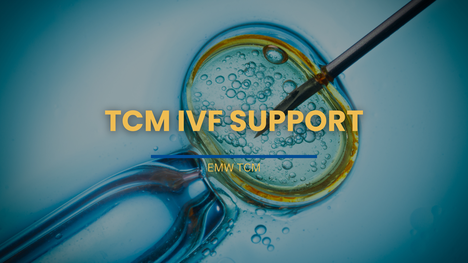 TCM IVF Support