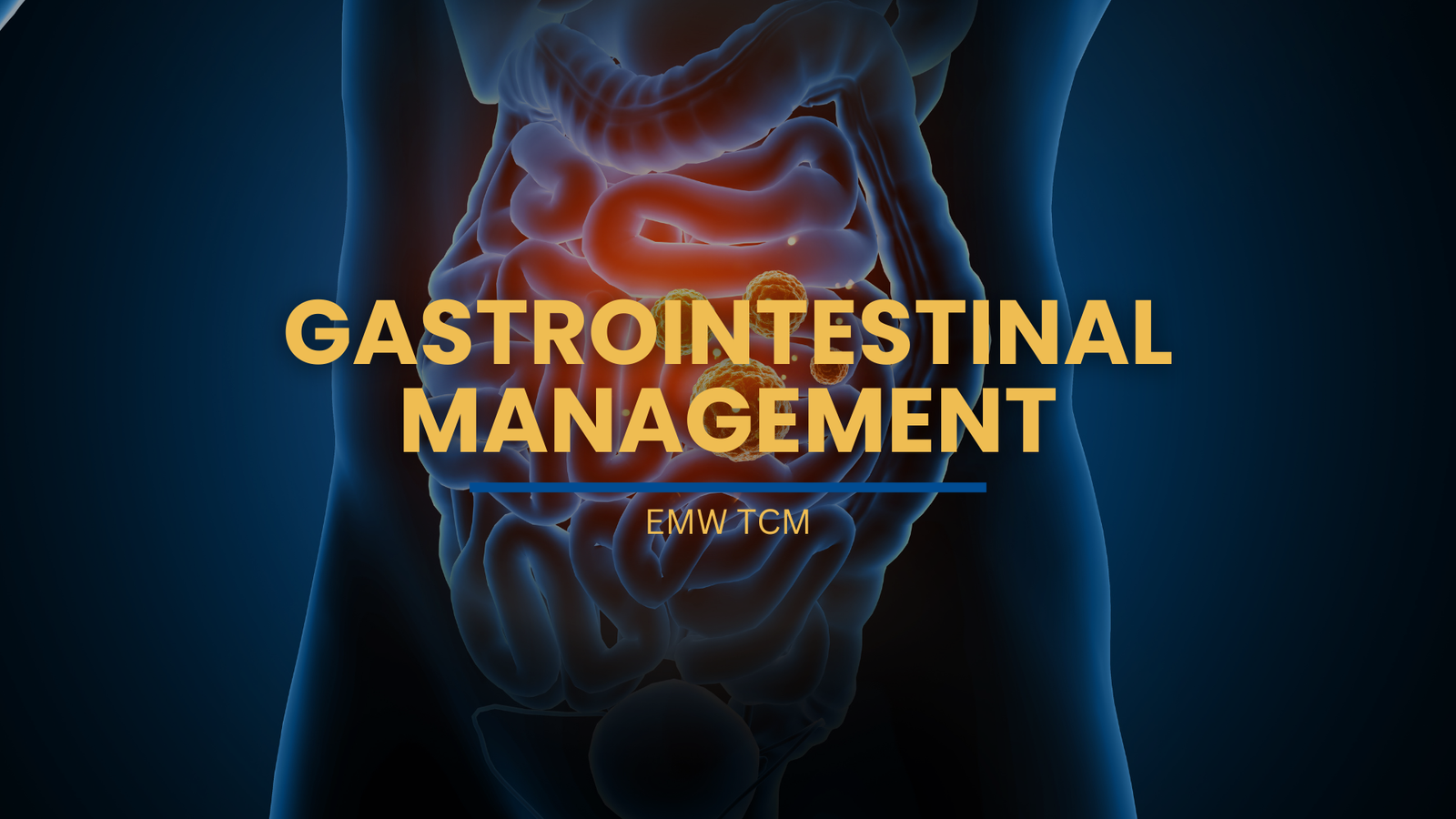 TCM Gastrointestinal Management