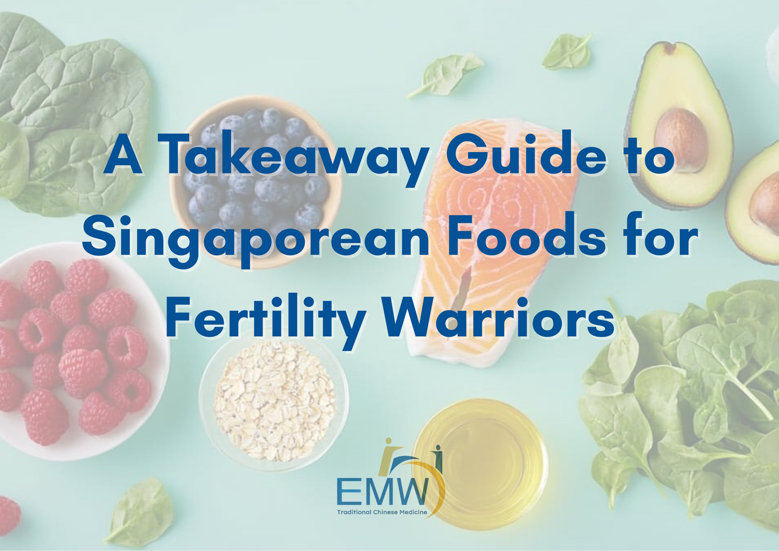 Nourishing Fertility: A Takeaway Guide to Singaporean Foods for Fertility Warriors (Part I) 1 Nourishing Fertility: A Takeaway Guide to Singaporean Foods for Fertility Warriors (Part I)