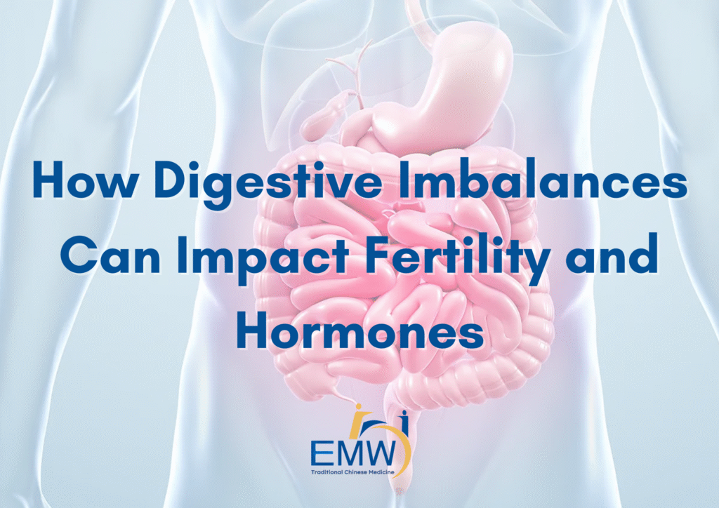 TCM Gut Health: How Digestive Imbalances Can Improve Fertility and Hormones 1 TCM Gut Health: How Digestive Imbalances Can Improve Fertility and Hormones