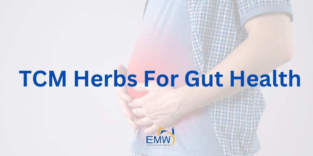TCM Gut Health: 9 Powerful TCM Herbs for Gut Repair and Support