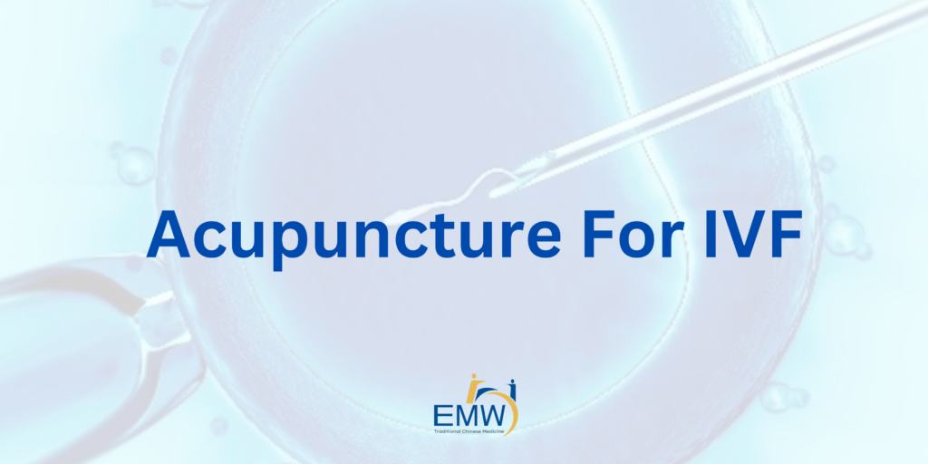 Acupuncture for IVF Success: What Science and TCM Say in 7 Evidence-Based Insights