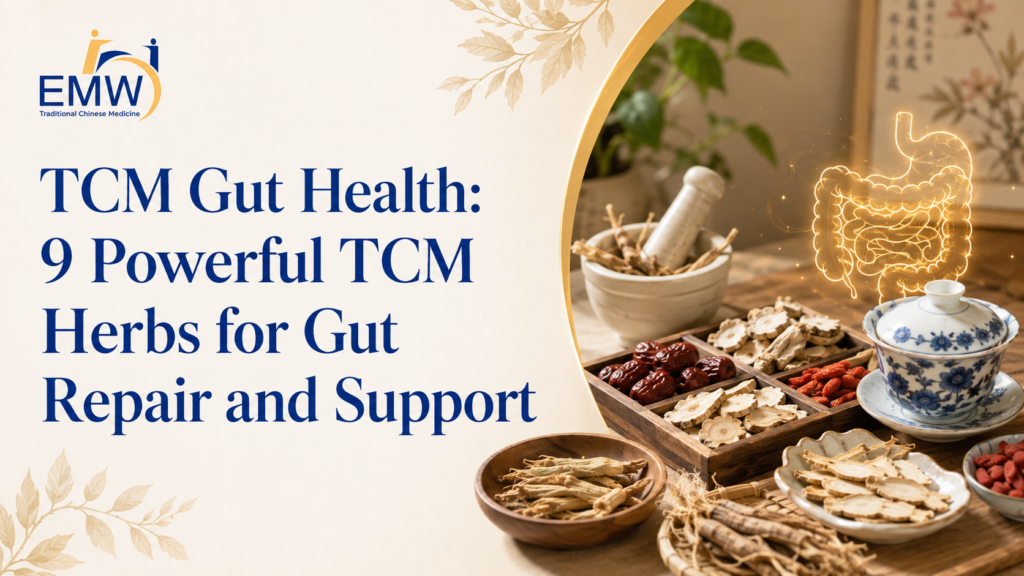 TCM Gut Health 9 Powerful TCM Herbs for Gut Repair and Support