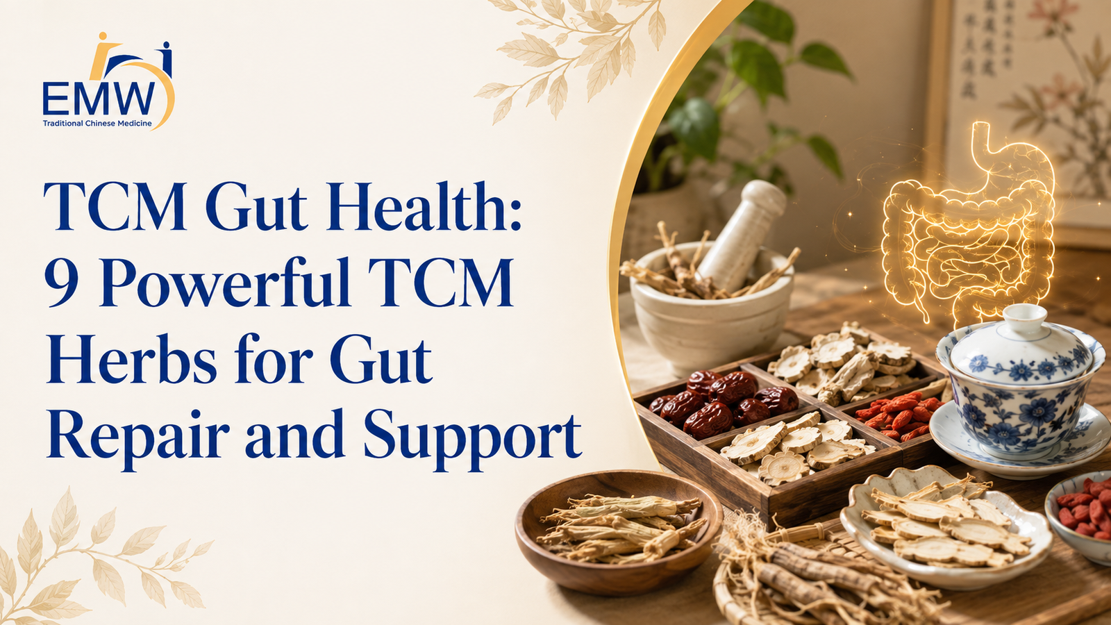 TCM Gut Health 9 Powerful TCM Herbs for Gut Repair and Support