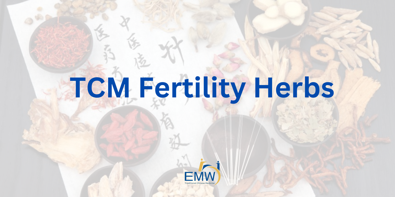 Lifestyle Nutrition For IVF 13 scaled