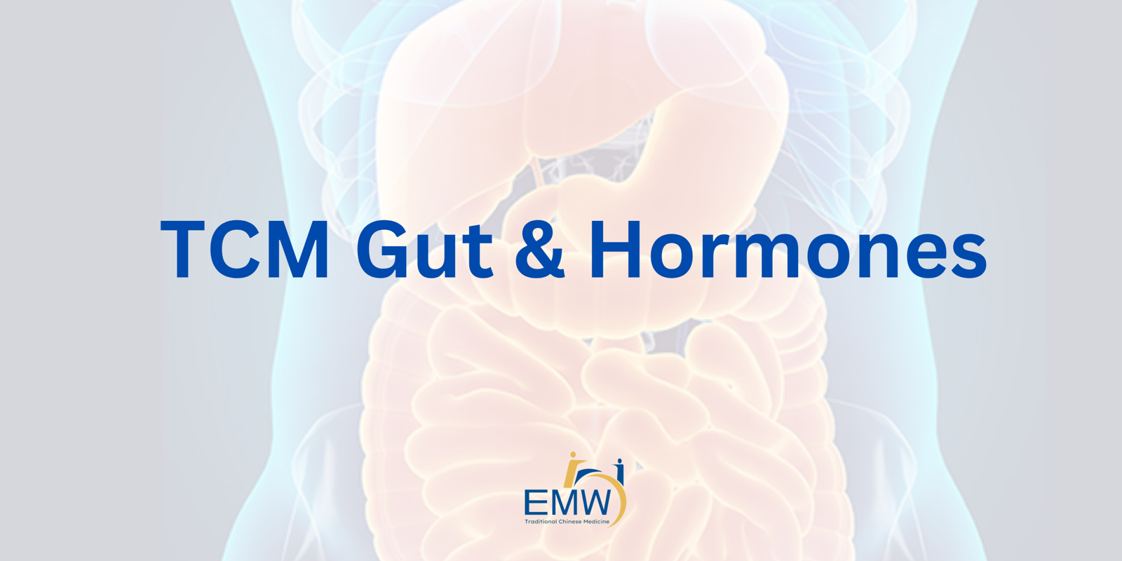 5 Surprising Reasons Gut Health and Hormones Are Deeply Connected: A TCM + Biomedical Guide for Singapore