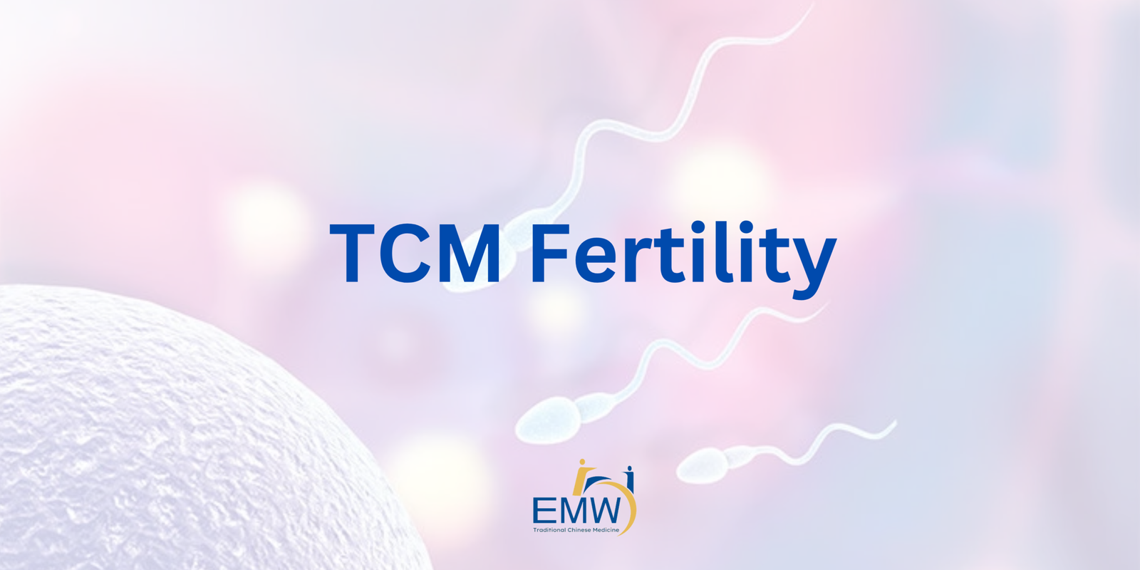 Lifestyle Nutrition For IVF 19 scaled