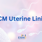 7 Powerful Ways TCM Improves Uterine Lining for Implantation Naturally in Singapore