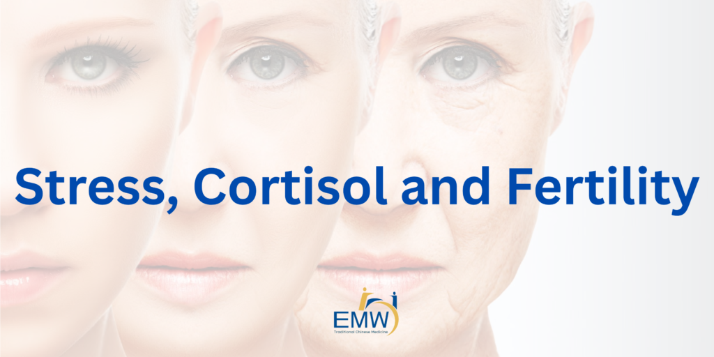 7 Powerful Insights on Stress, Cortisol and Fertility: TCM’s Evidence-Based View of the Adrenal–Reproductive Axis
