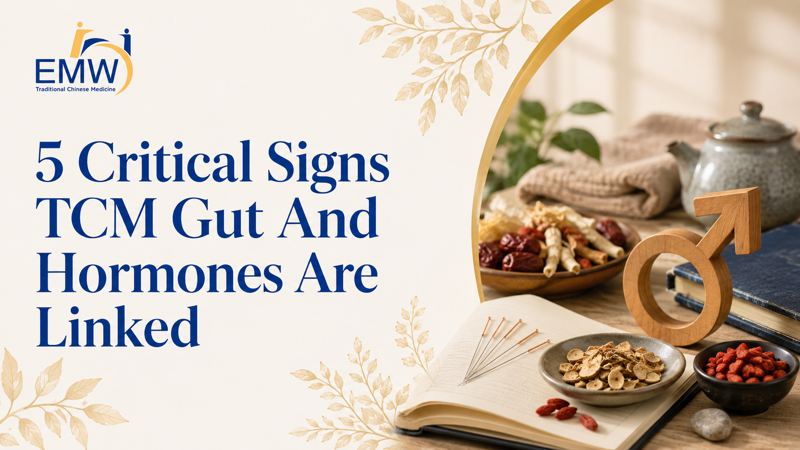 5 Critical Signs TCM Gut And Hormones Are Linked
