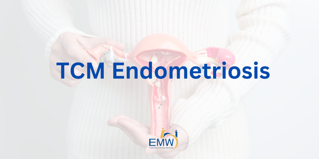 7 Proven Ways How TCM Endometriosis Fertility Work in Singapore