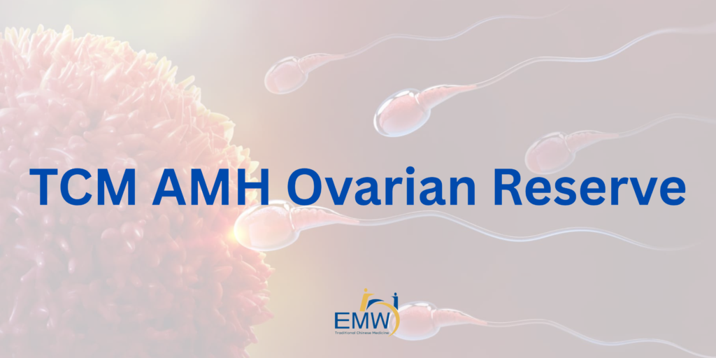 6 Powerful Strategies TCM Improve AMH Ovarian Reserve in Singapore