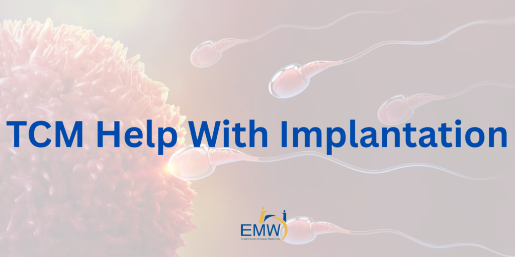 5 Overlooked Ways TCM Can Help With Implantation: A TCM Perspective
