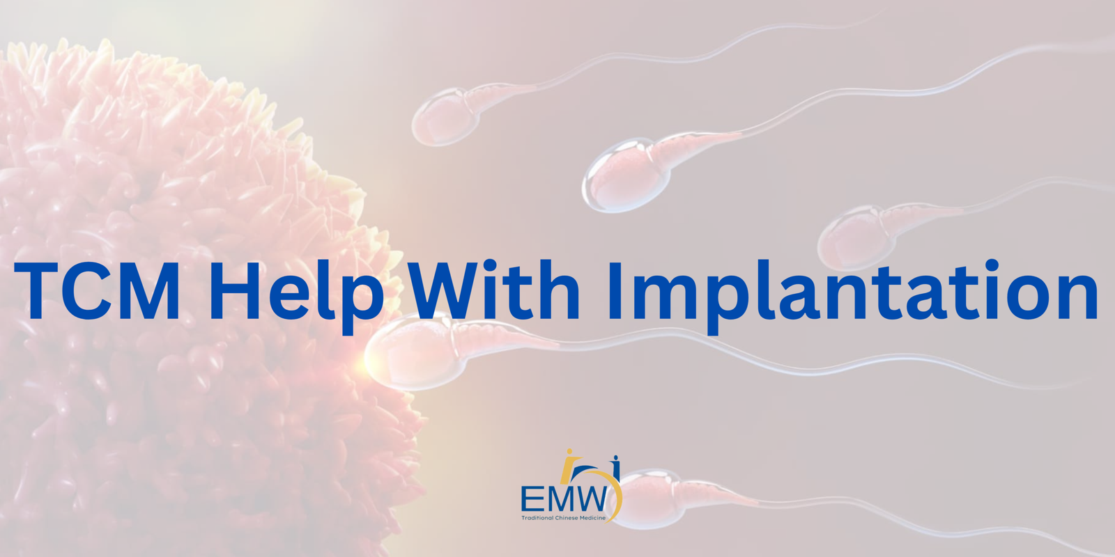 Lifestyle Nutrition For IVF 25 scaled