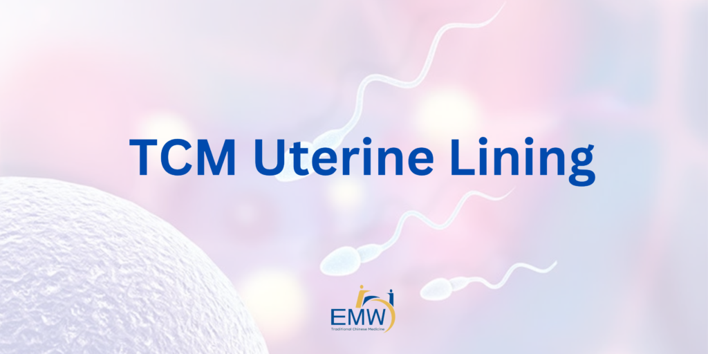 5 Critical Causes of Thin Uterine Lining and How to Treat Thin Uterine Lining Naturally in Singapore 4 5 Critical Causes of Thin Uterine Lining and How to Treat Thin Uterine Lining Naturally in Singapore