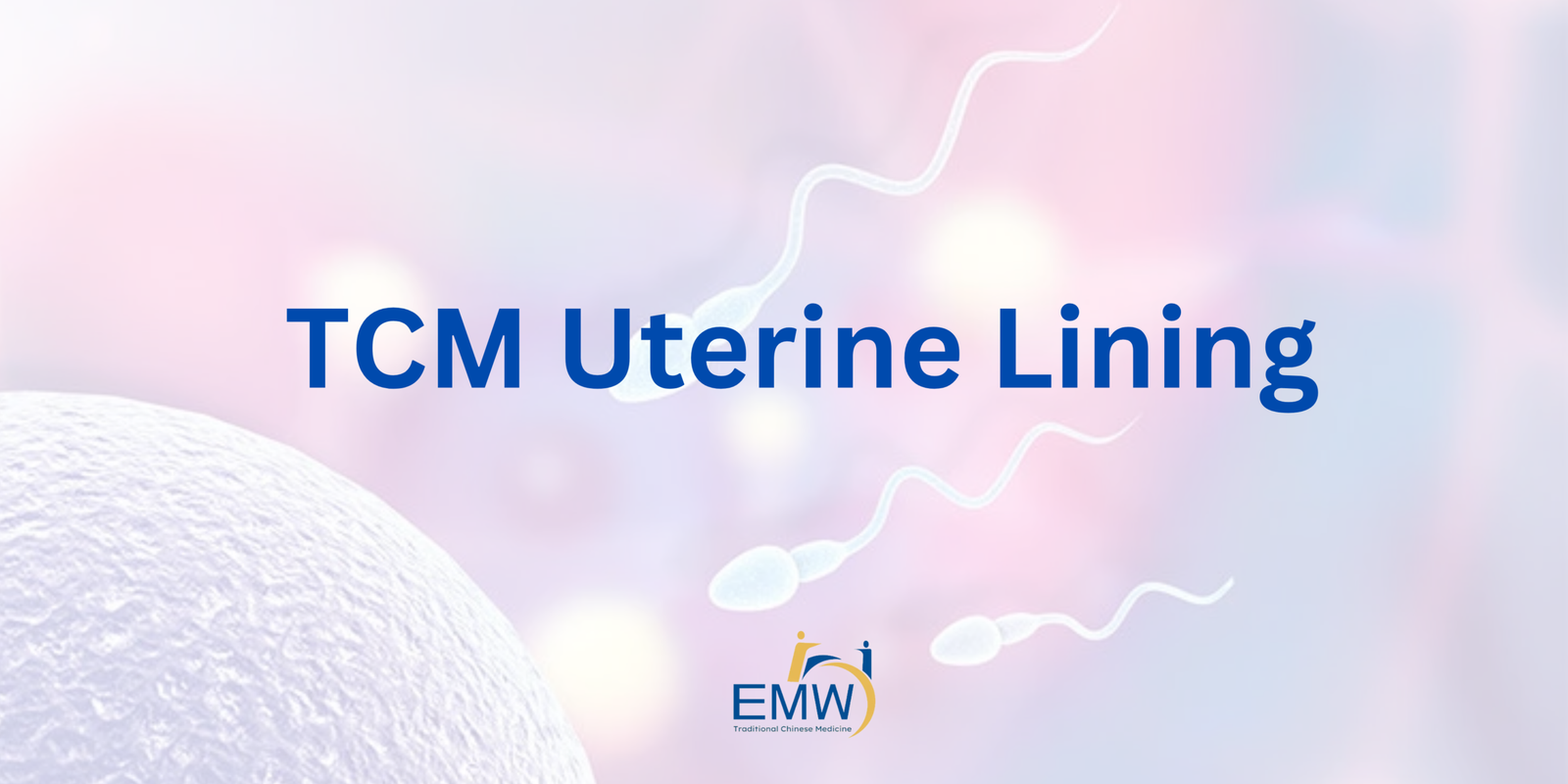 Lifestyle Nutrition For IVF 5 scaled