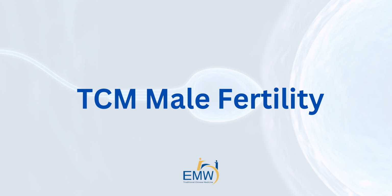 Lifestyle Nutrition For IVF