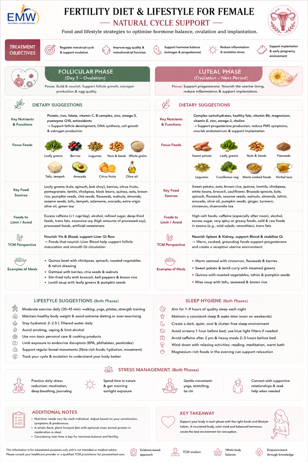 7 Strategies to Support TCM Natural Conception After 35 in Singapore 6 FP vs LP