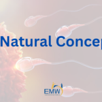 7 Strategies to Support TCM Natural Conception After 35 in Singapore