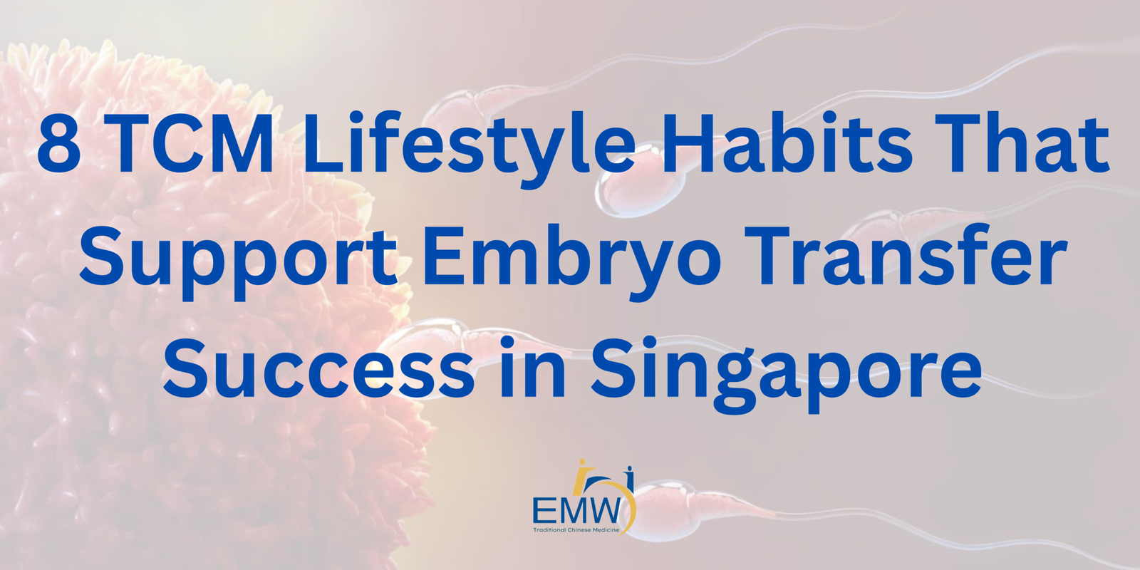 Lifestyle Nutrition For IVF 35 scaled