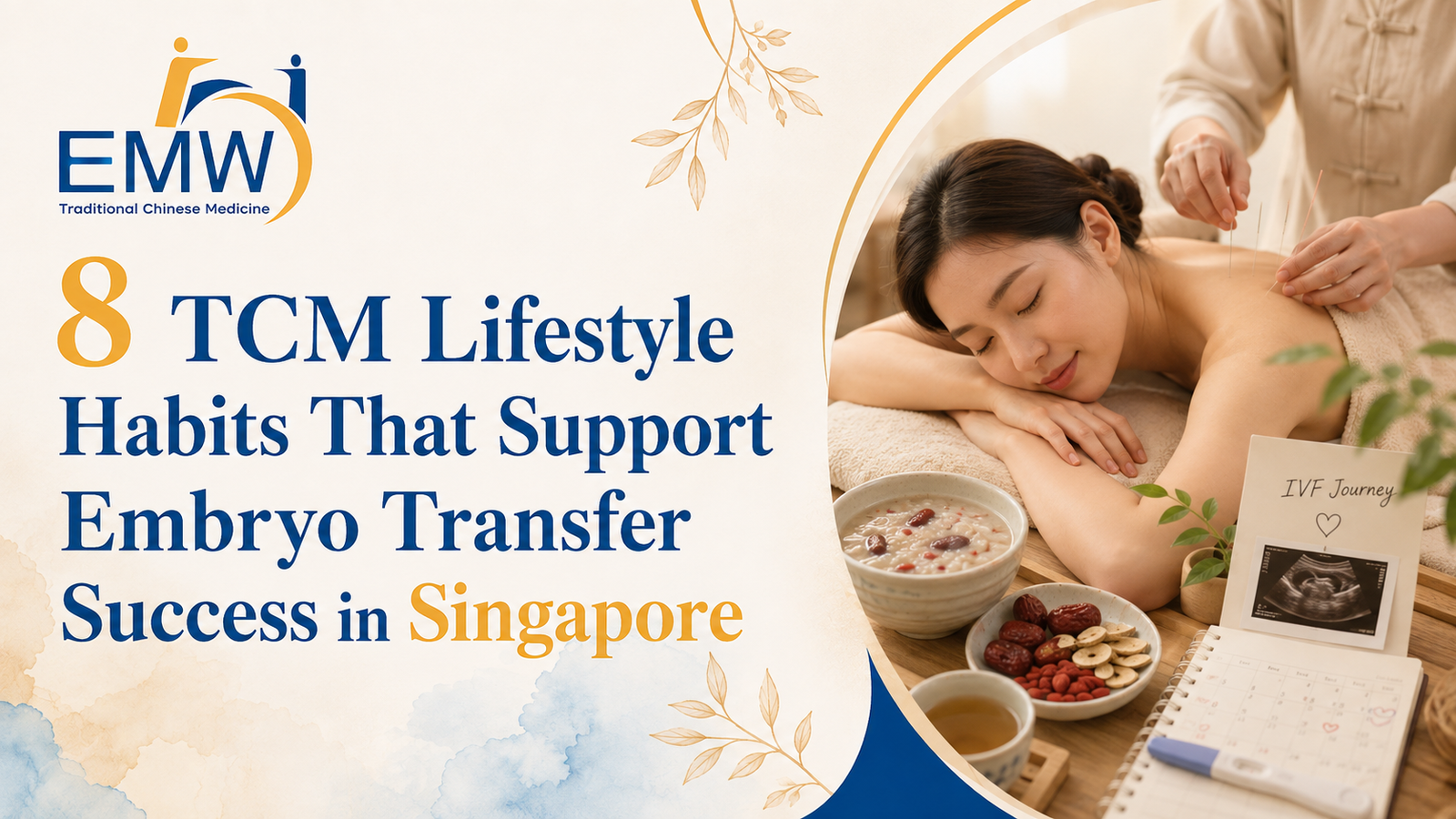 8 TCM Lifestyle Habits That Support Embryo Transfer Success in Singapore