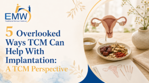 5 Overlooked Ways TCM Can Help With Implantation: A TCM Perspective