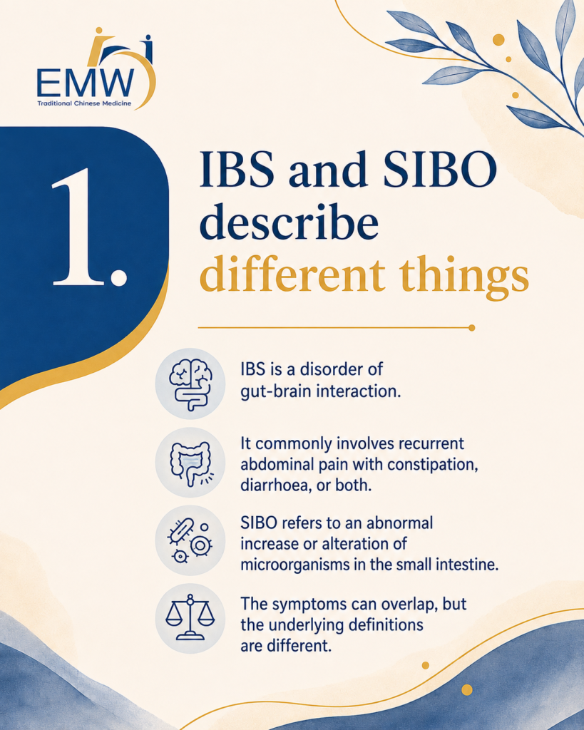 IBS vs SIBO: 7 Essential Differences Behind Bloating, Gas and Bowel Changes​