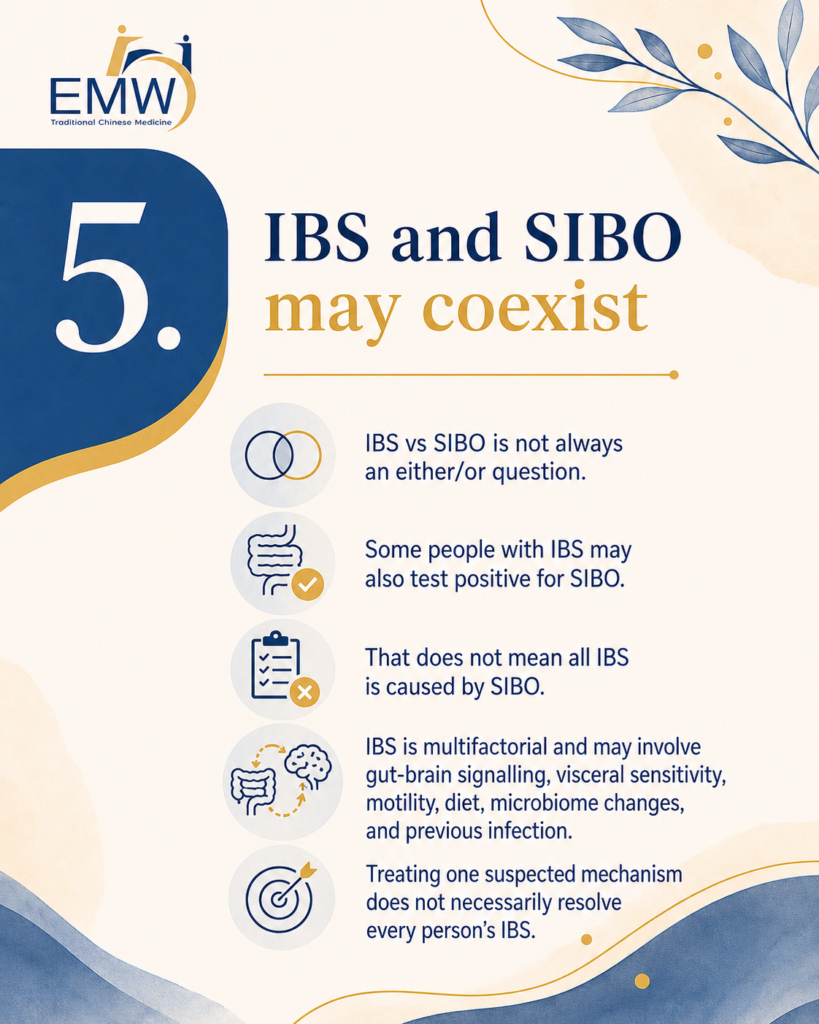 IBS vs SIBO: 7 Essential Differences Behind Bloating, Gas and Bowel Changes​
