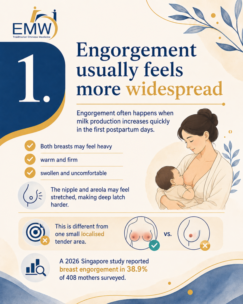 Engorgement vs Blocked Duct vs Mastitis: 7 Critical Differences Every Breastfeeding Mother Should Know