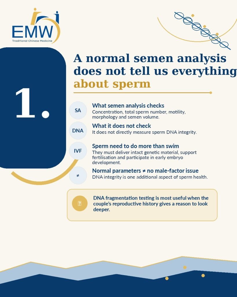 Sperm DNA Fragmentation and IVF: 7 Critical Facts Couples Should Know Before Treatment