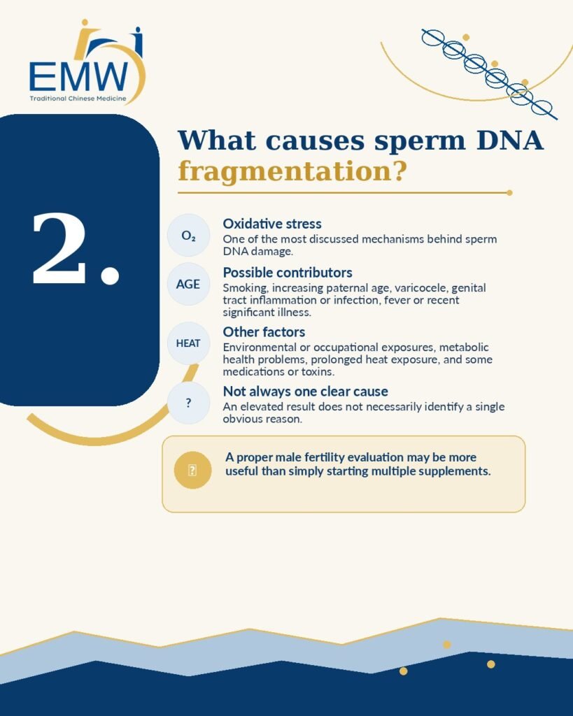 Sperm DNA Fragmentation and IVF: 7 Critical Facts Couples Should Know Before Treatment