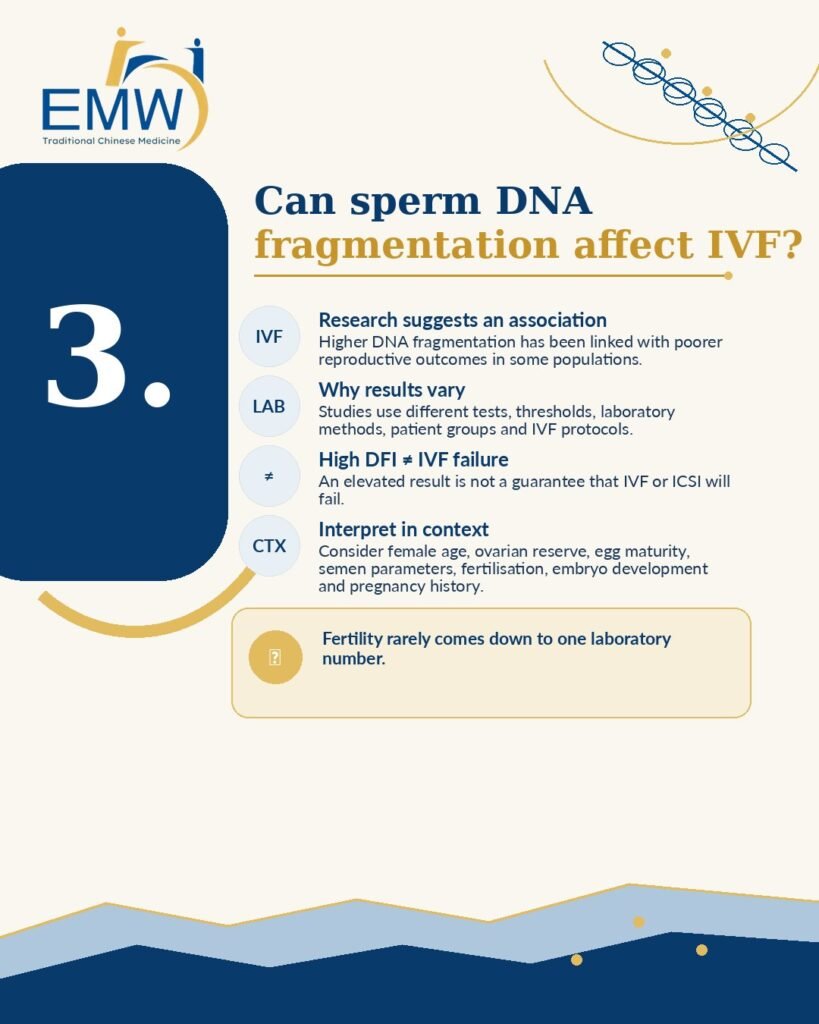 Sperm DNA Fragmentation and IVF: 7 Critical Facts Couples Should Know Before Treatment