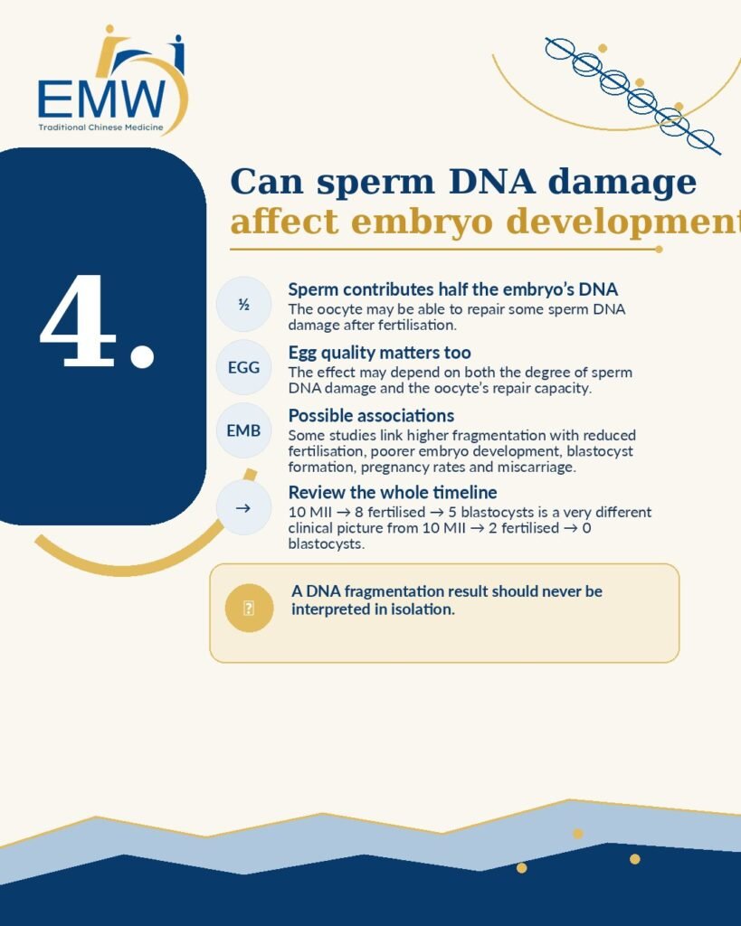 Sperm DNA Fragmentation and IVF: 7 Critical Facts Couples Should Know Before Treatment