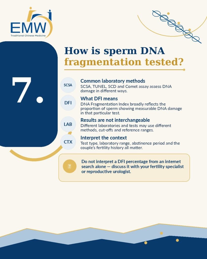 Sperm DNA Fragmentation and IVF: 7 Critical Facts Couples Should Know Before Treatment