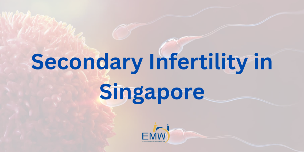 Secondary Infertility in Singapore: 7 Essential Reasons Pregnancy May Be Harder the Second Time