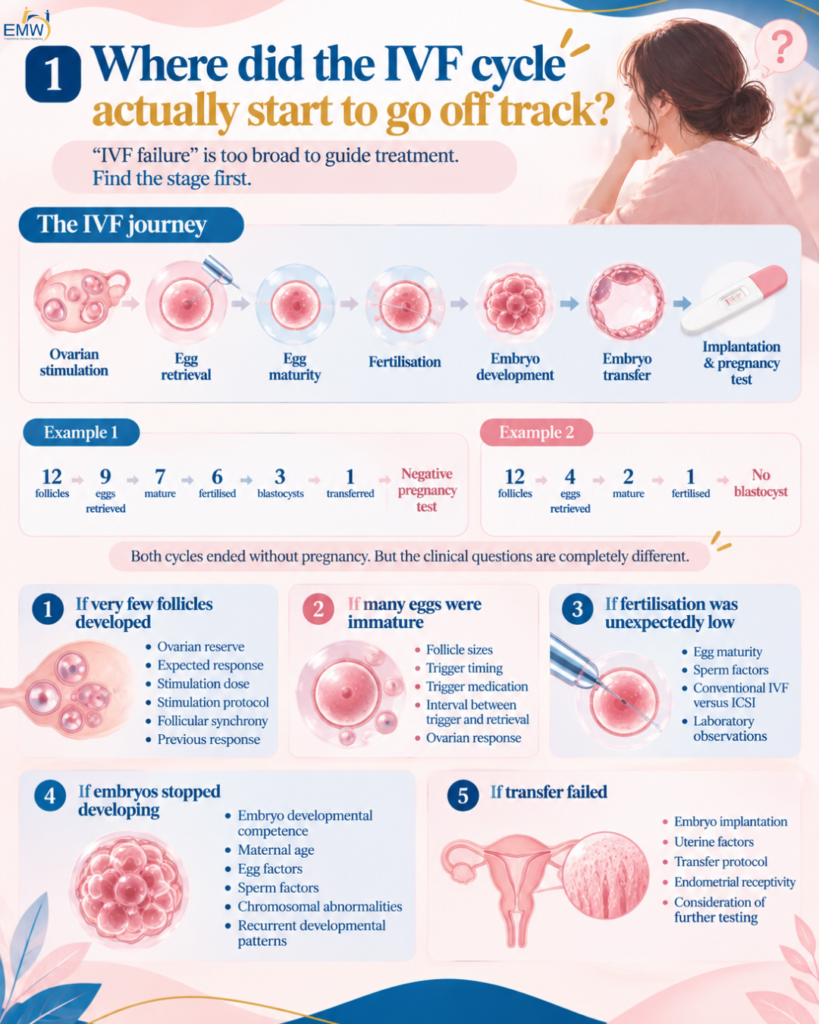 Where did the IVF cycle actually start to go off track