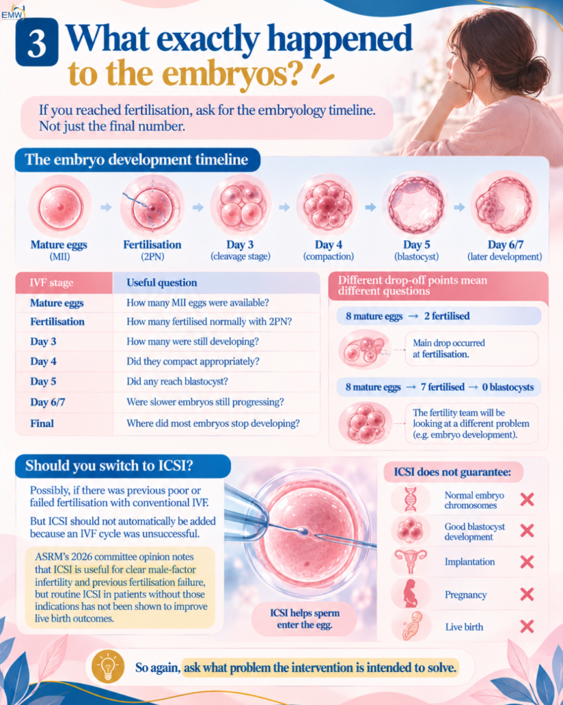 What exactly happened to the embryos