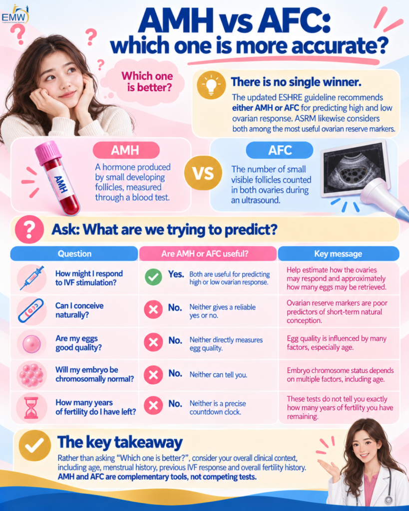 AMH vs AFC which one is more accurate