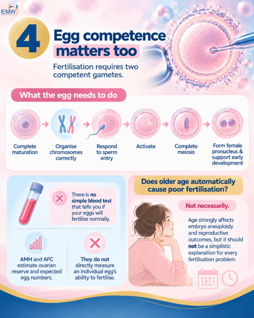 Egg competence matters too