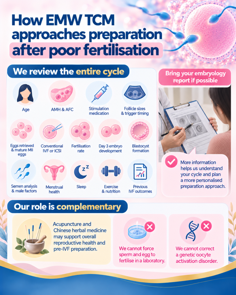 How EMW TCM Approaches Preparation After Poor Fertilisation