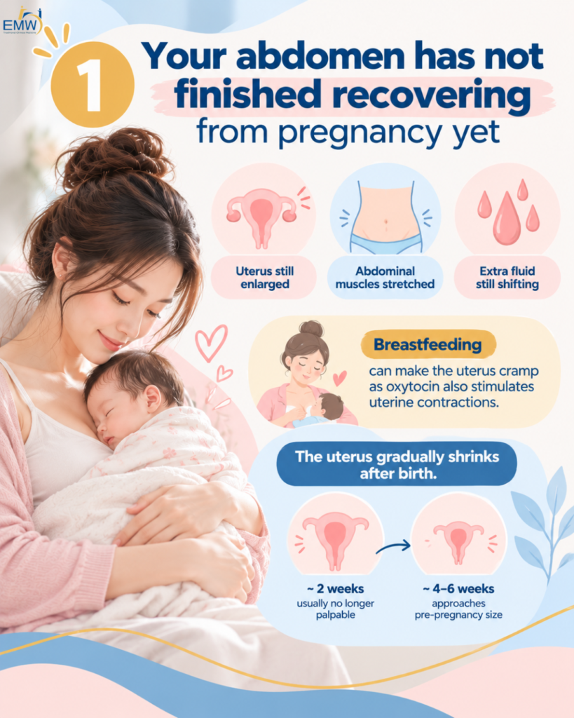 your abdomen has not finished recovering from pregnancy yet