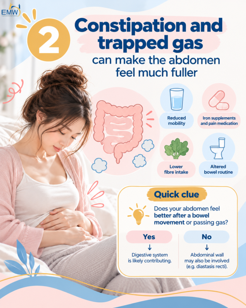 constipation and trapped gas can make the abdomen feel much fuller