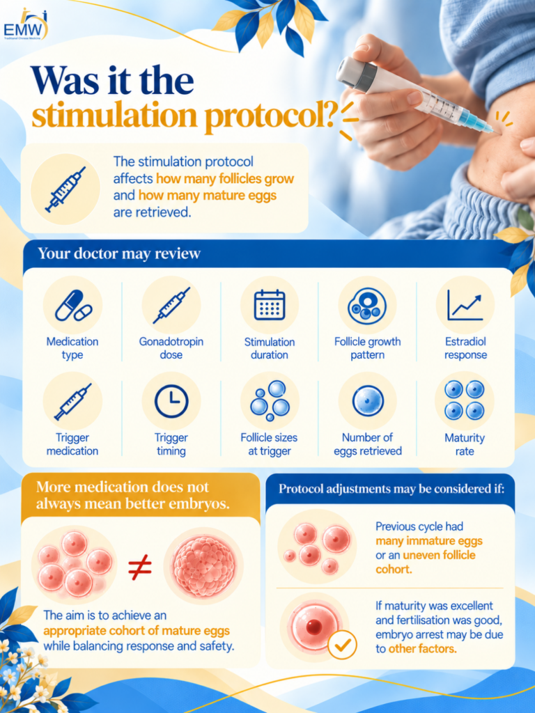 no blastocyst after ivf
