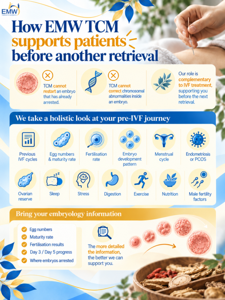 no blastocyst after ivf